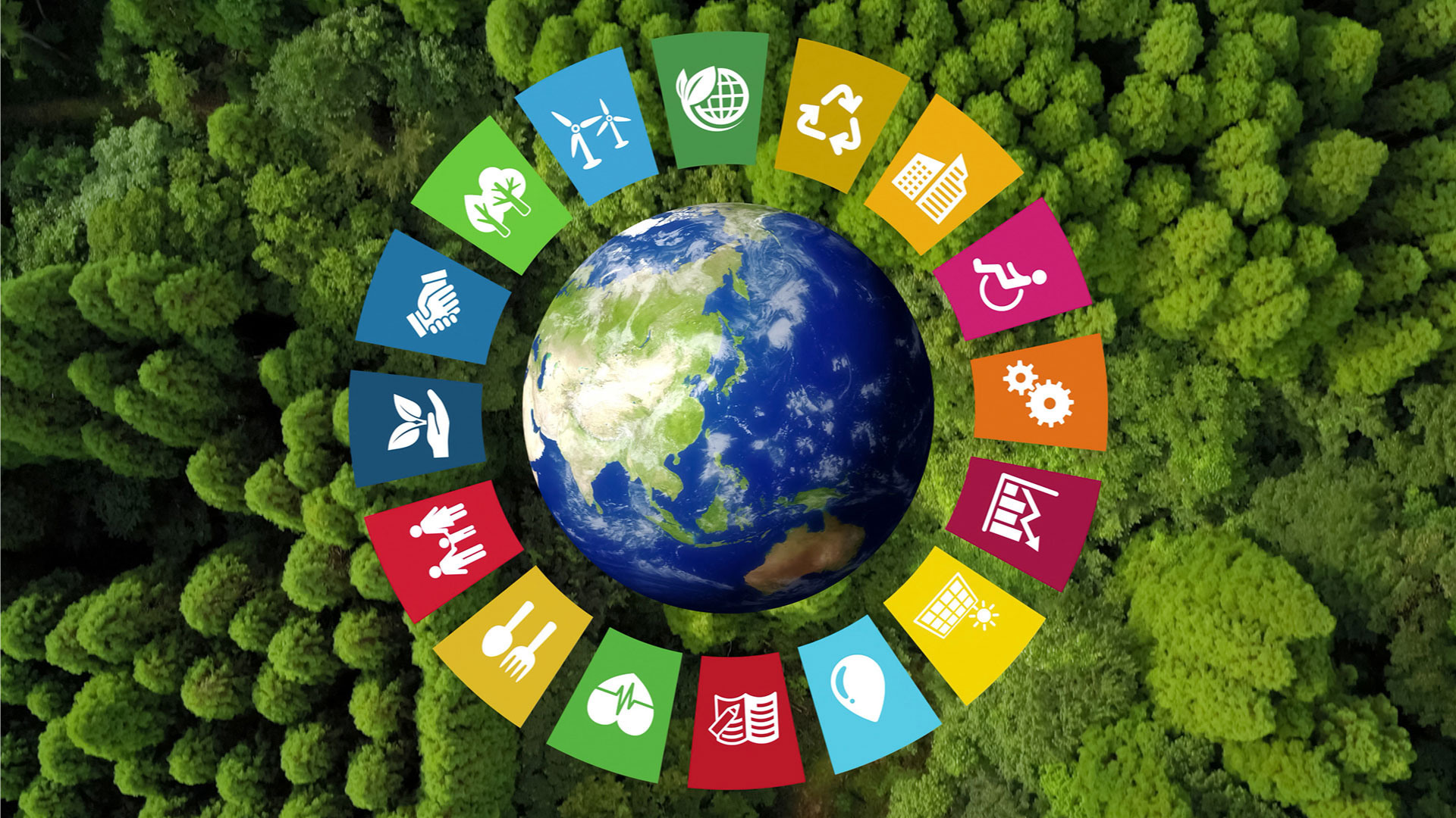Our Sustainability Approach