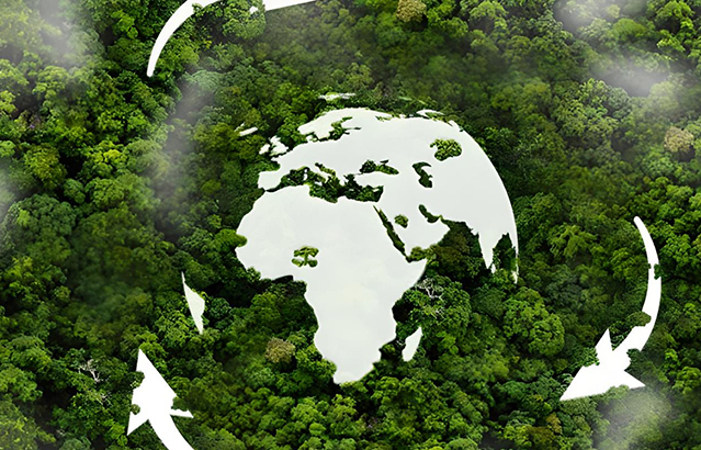 The Circular Economy