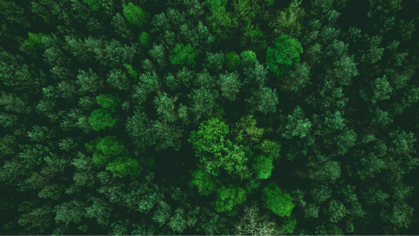 From Gray to Green