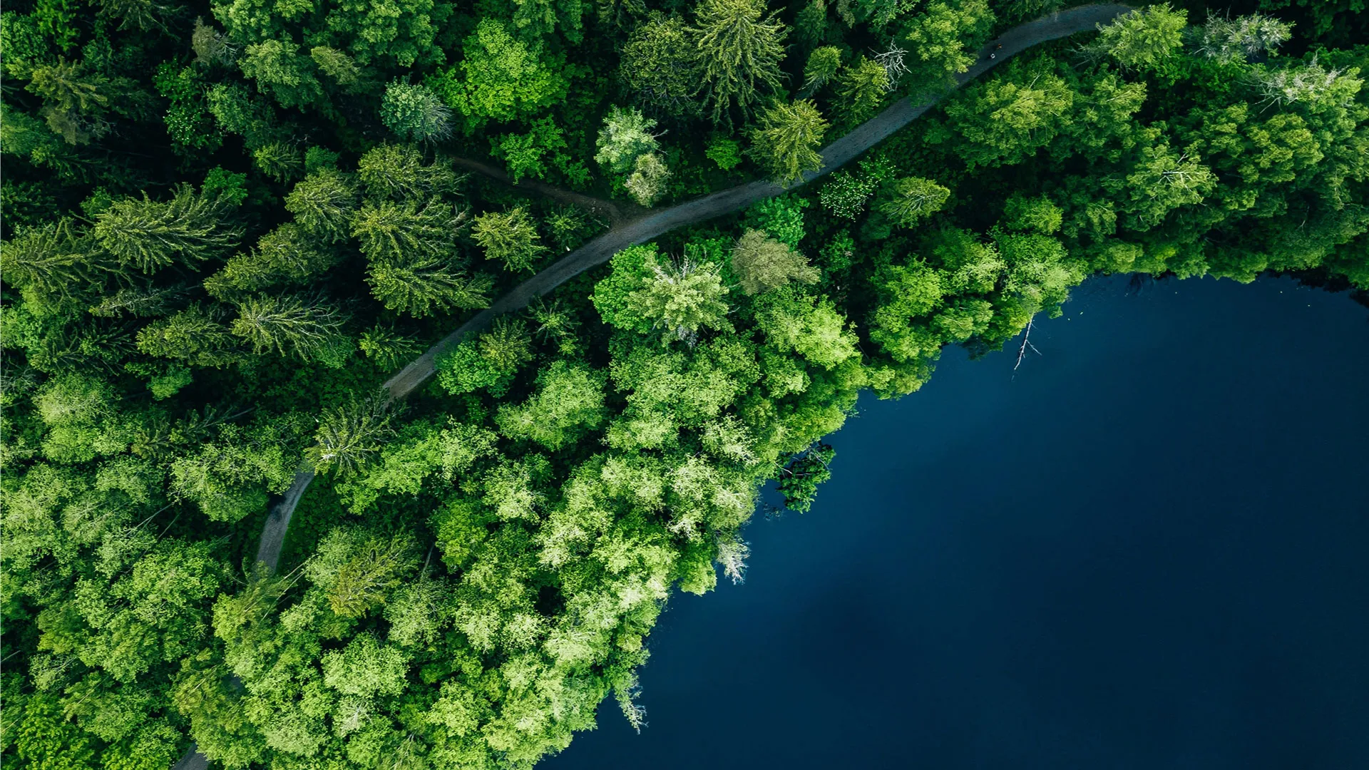 Sürdürülebilirlik